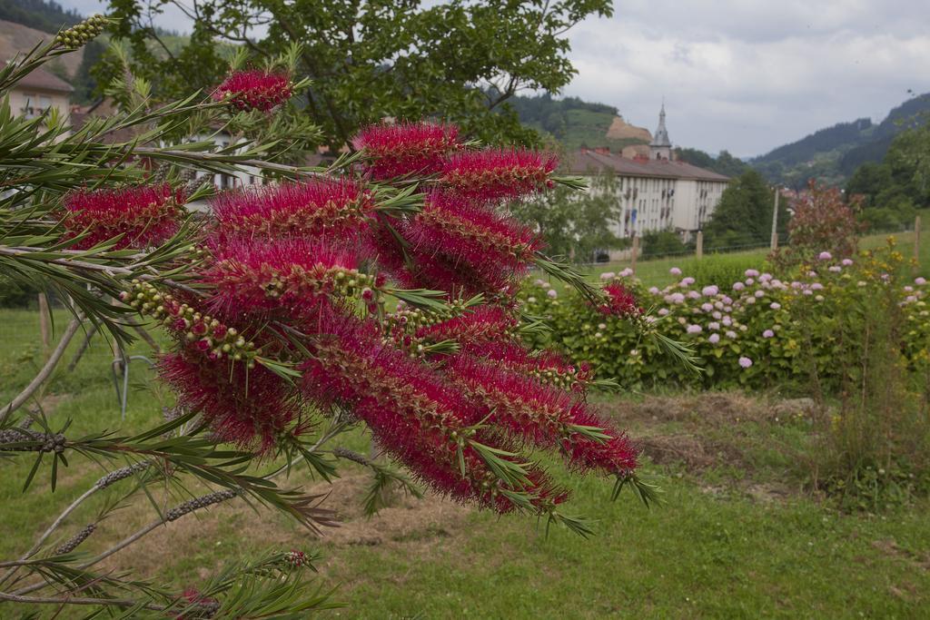 Agroturismo Ibarre Anzuola Esterno foto